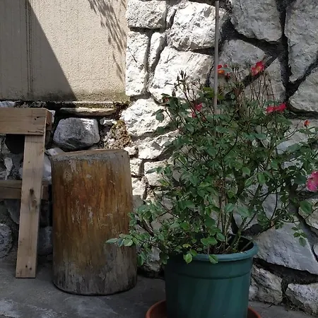 Apartment Appartamento San Lucano Agordo