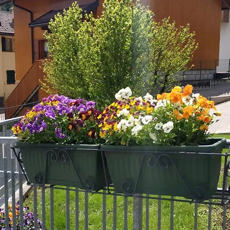 Appartamento San Lucano * Agordo