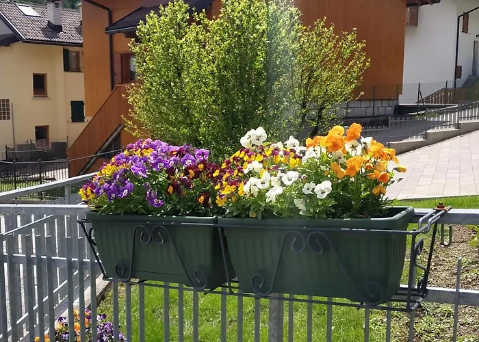 Appartamento San Lucano * Agordo