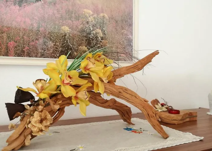 Appartamento San Lucano